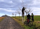 Březnová brigáda II (27.03.2026)
