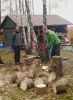 brigada_drevo_lavicky_smerovnik_rijen_2018_4