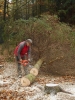 brigada_drevo_lavicky_smerovnik_rijen_2018_5