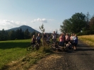 Brigáda ve stromořadí (17.7.2019)