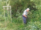 brigada_ve_stromoradi_cervenec_2019_6