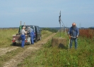 Novinka ve stromořadí (červen 2016)