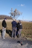 podzimni_brigada_stromoradi_11_2019_5
