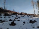 prochazka_na_triangl_2019_2