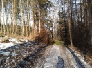 prochazka_na_triangl_2019_4