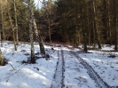 prochazka_na_triangl_2019_5