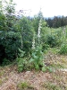 slunovrat_2020_10