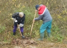 vysadba_stromoradi_na_olesku_2016_2