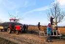 breznova_brigada_2026_10