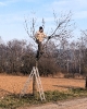 breznova_brigada_2026_6